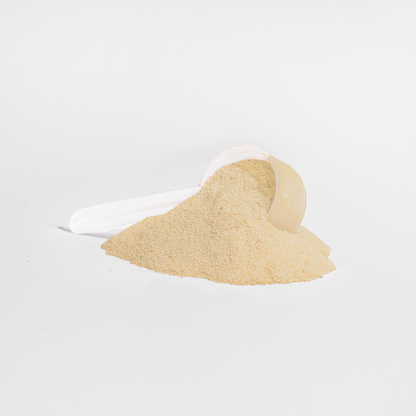 Whey Protein Isolate | Vanilla Ice Cream
